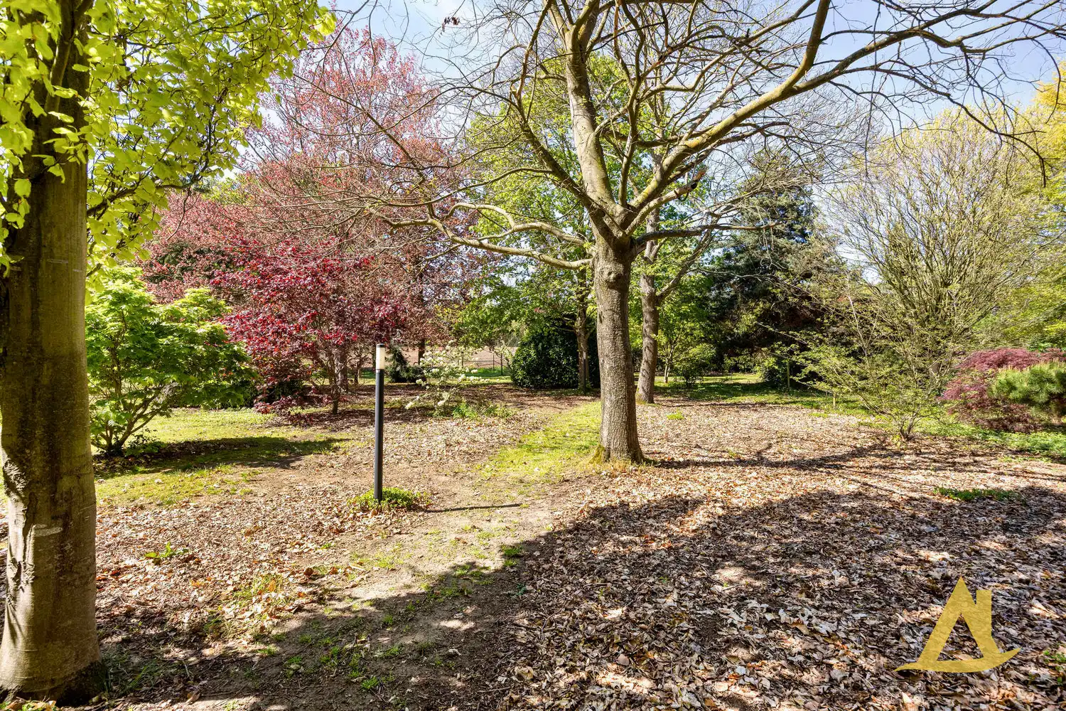 EXCLUSIEVE VILLA MET PARKTUIN EN ZWEMVIJVER OP EEN PERCEEL VAN 1HA 5A 16CA! foto 57