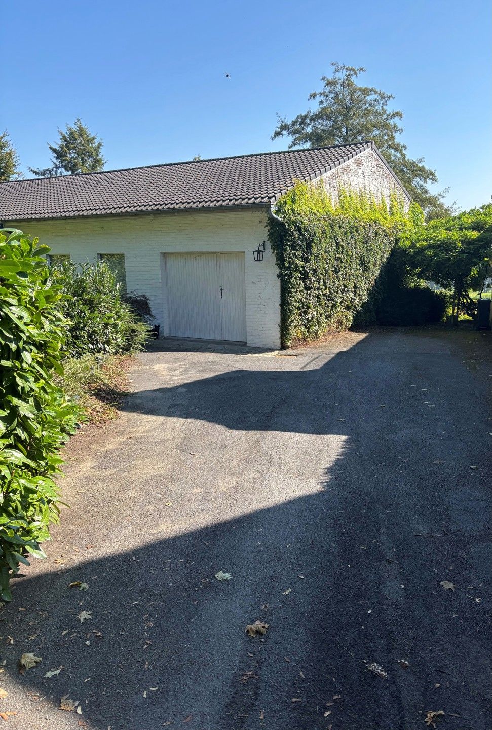 "De Provence" bij ons...zr rme bungalow/villa 33a, m atelier foto 39