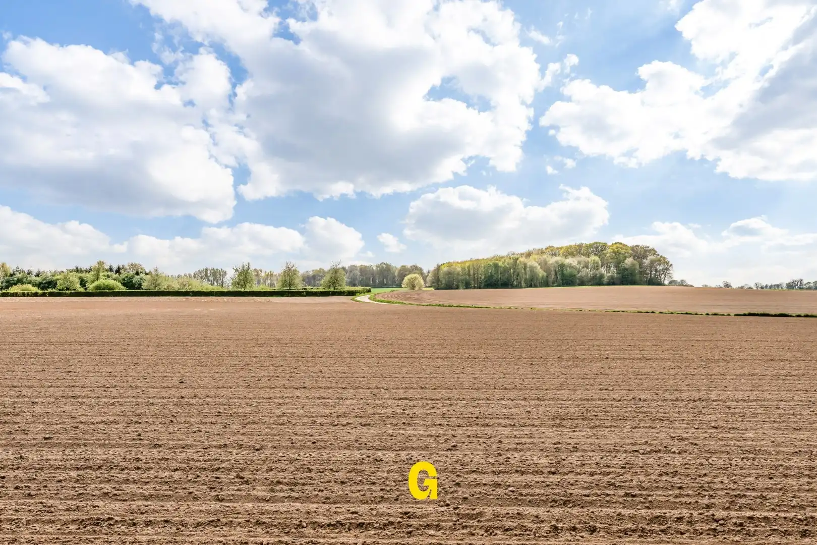 Uitzonderlijke gerestaureerde vakwerkwoning met zuidwest gerichte tuin op 13 a 79ca met weidse zichten op de achterliggende velden.  foto 29