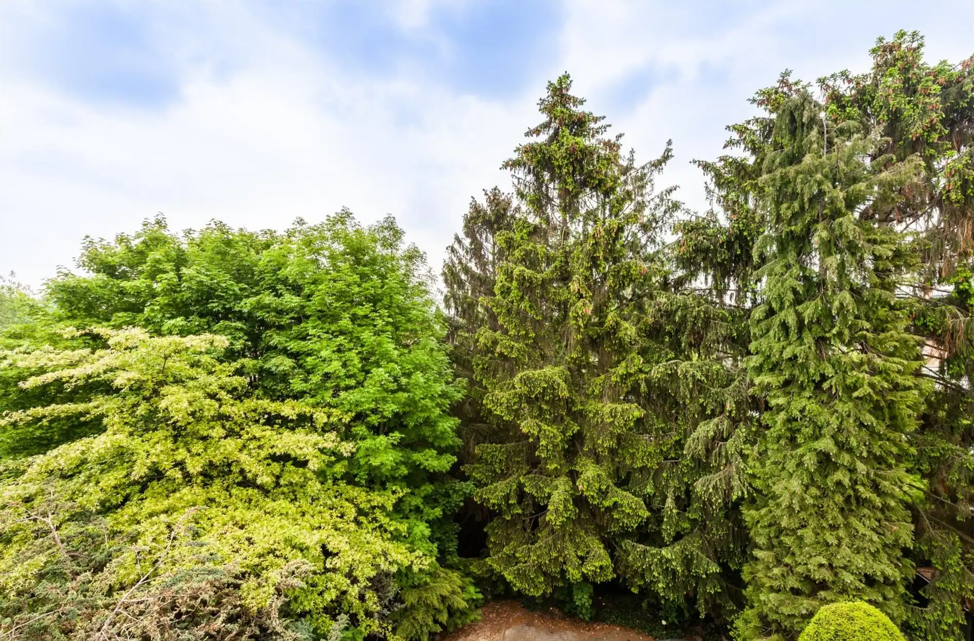 Bemeubelde studio vlakbij Gasthuisberg foto 8