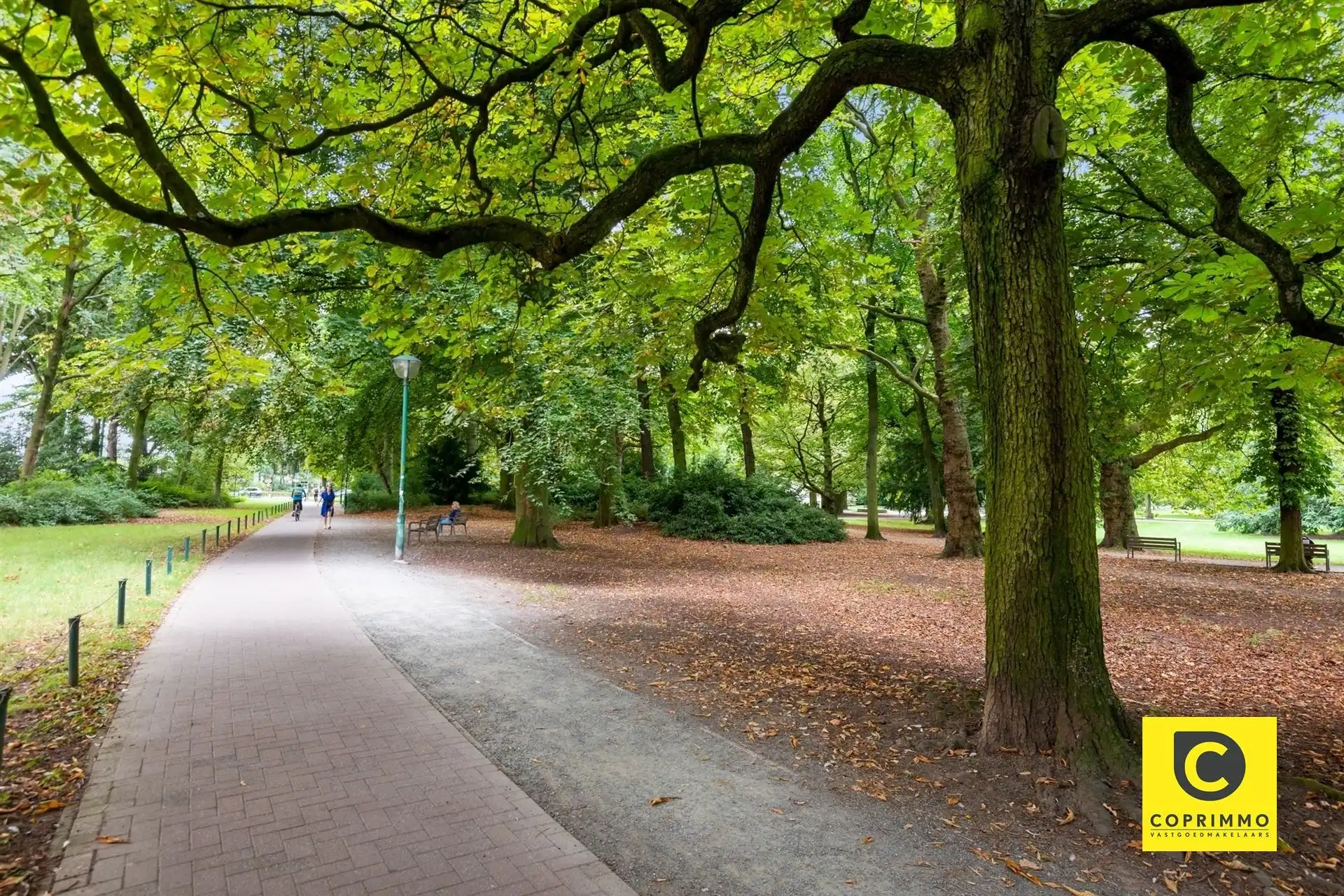 App met 3 slpk en 2 terrassen in de Merode wijk! foto 16