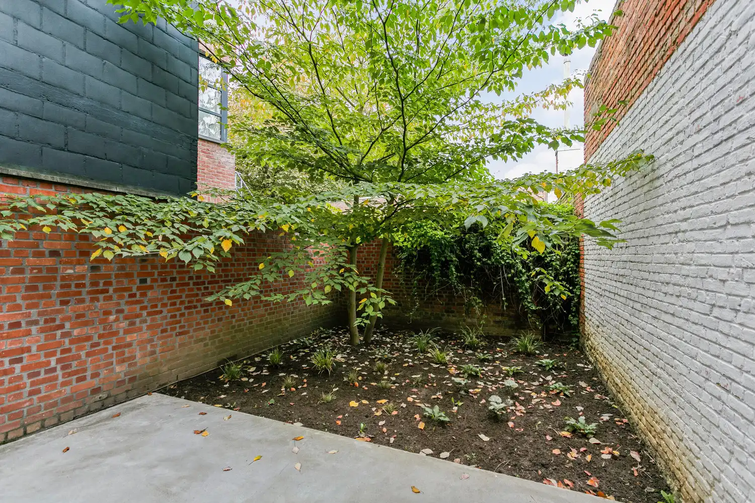 PRACHTIG GERENOVEERDE WONING MET STADSTUIN! foto 15