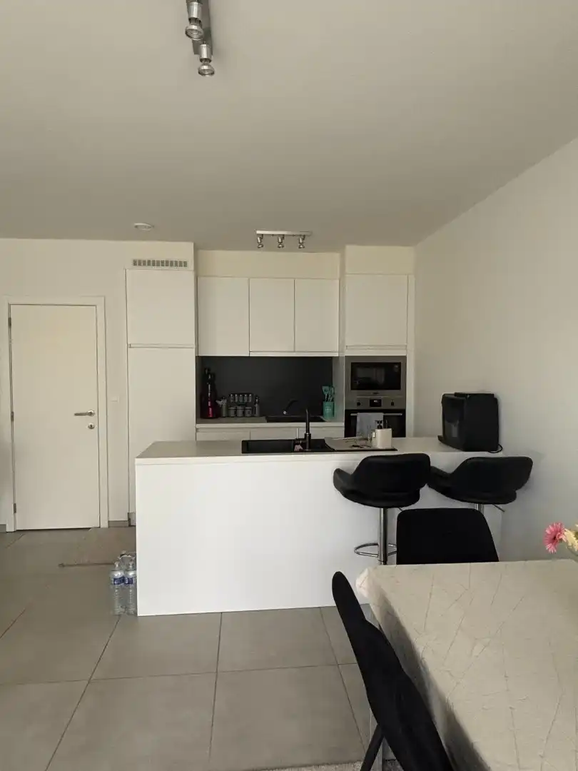LICHTRIJK EN ENERGIEZUINIG 2-SLAAPKAMERAPPARTEMENT MET TWEE TERRASSEN EN PARKEERPLAATS foto 5