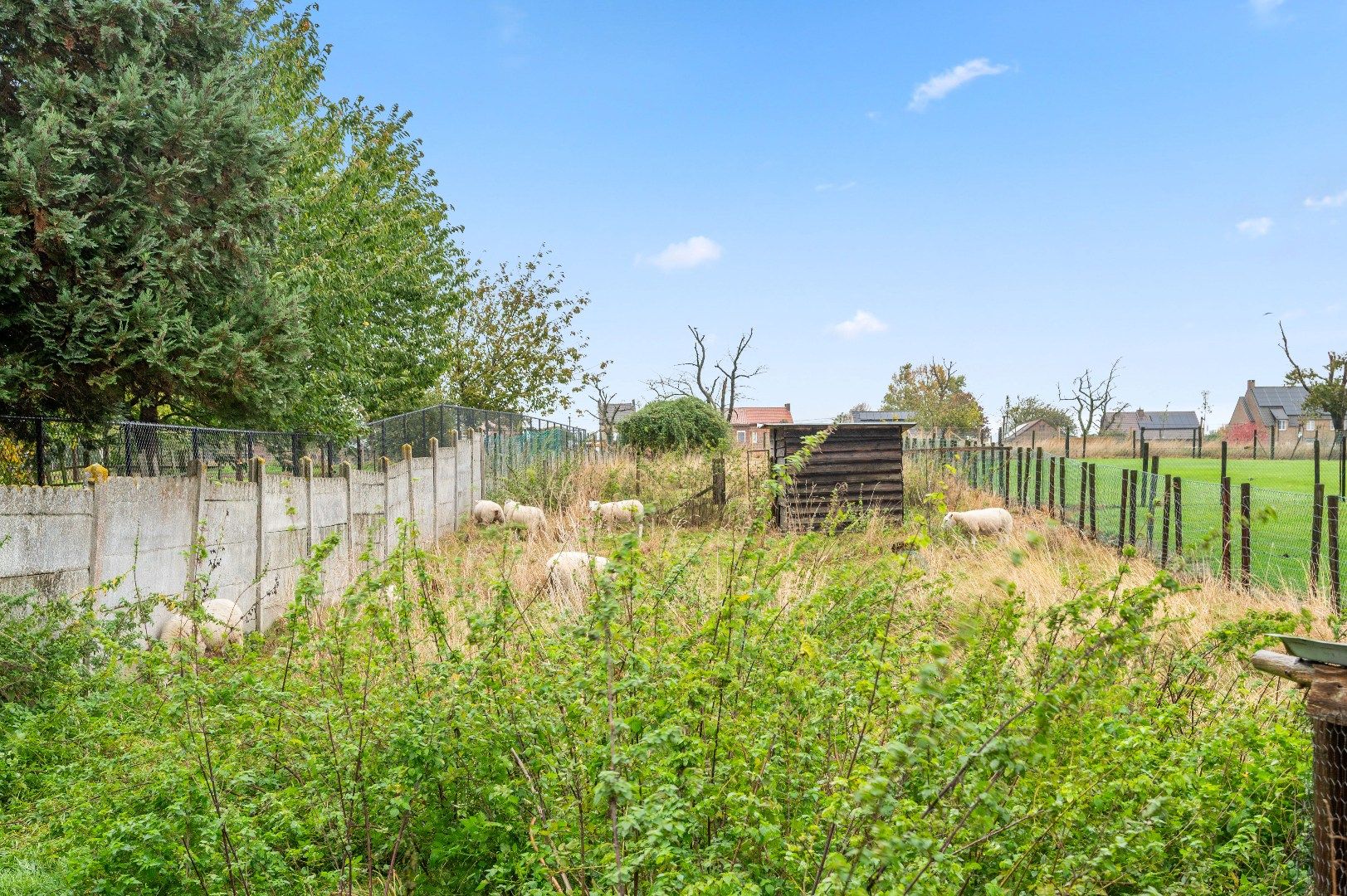 Te renoveren woning met potentieel op ruim perceel te Attenhoven (Landen) foto 25