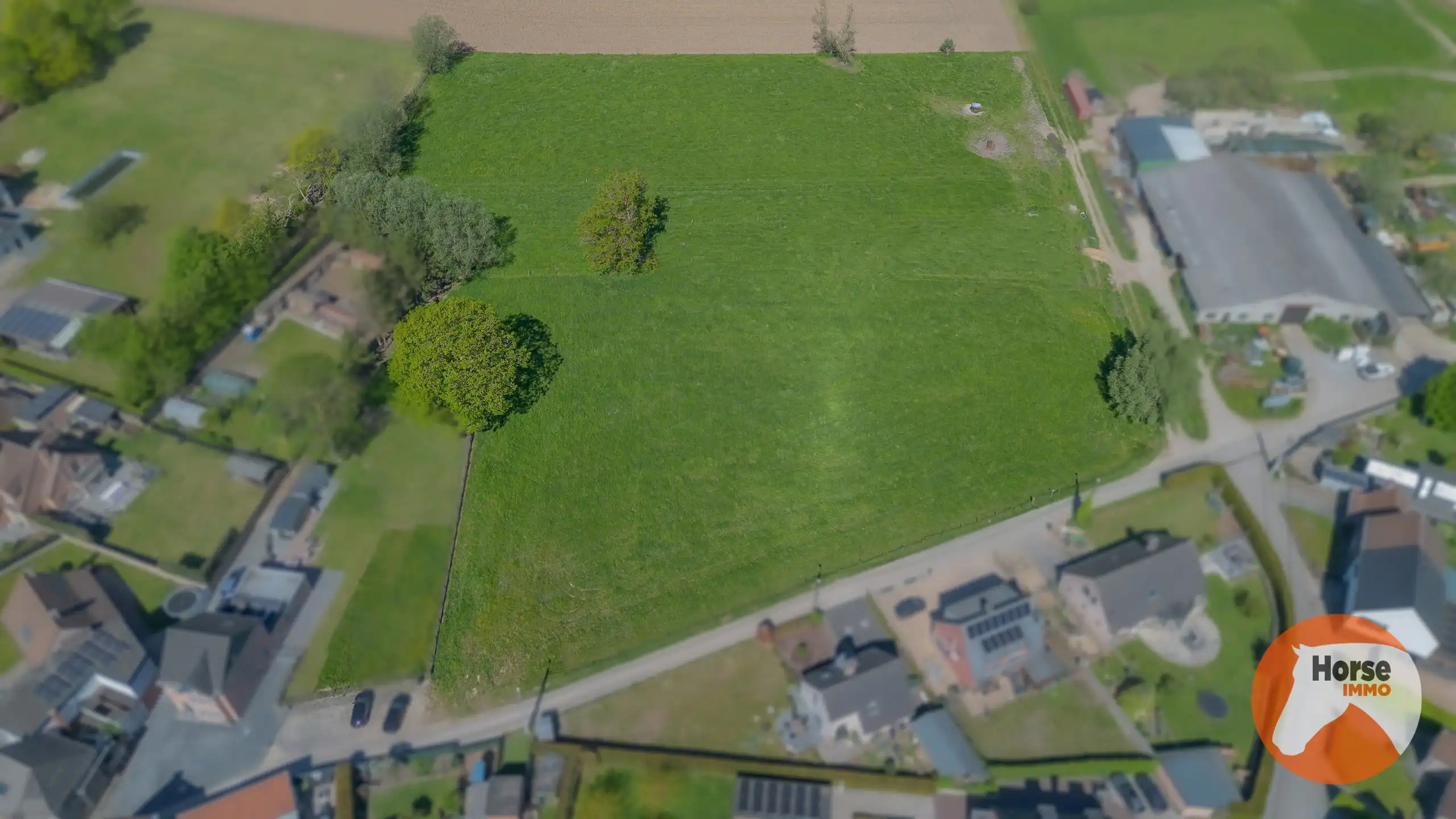 ERPE-MERE - Bouwgrond voor open bebouwing met weiland foto 3