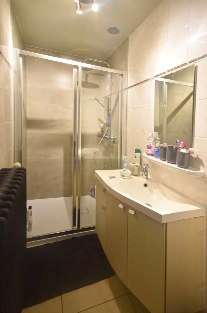 ÉÉNSLAAPKAMER APPARTEMENT MET GROOT TERRAS foto 5