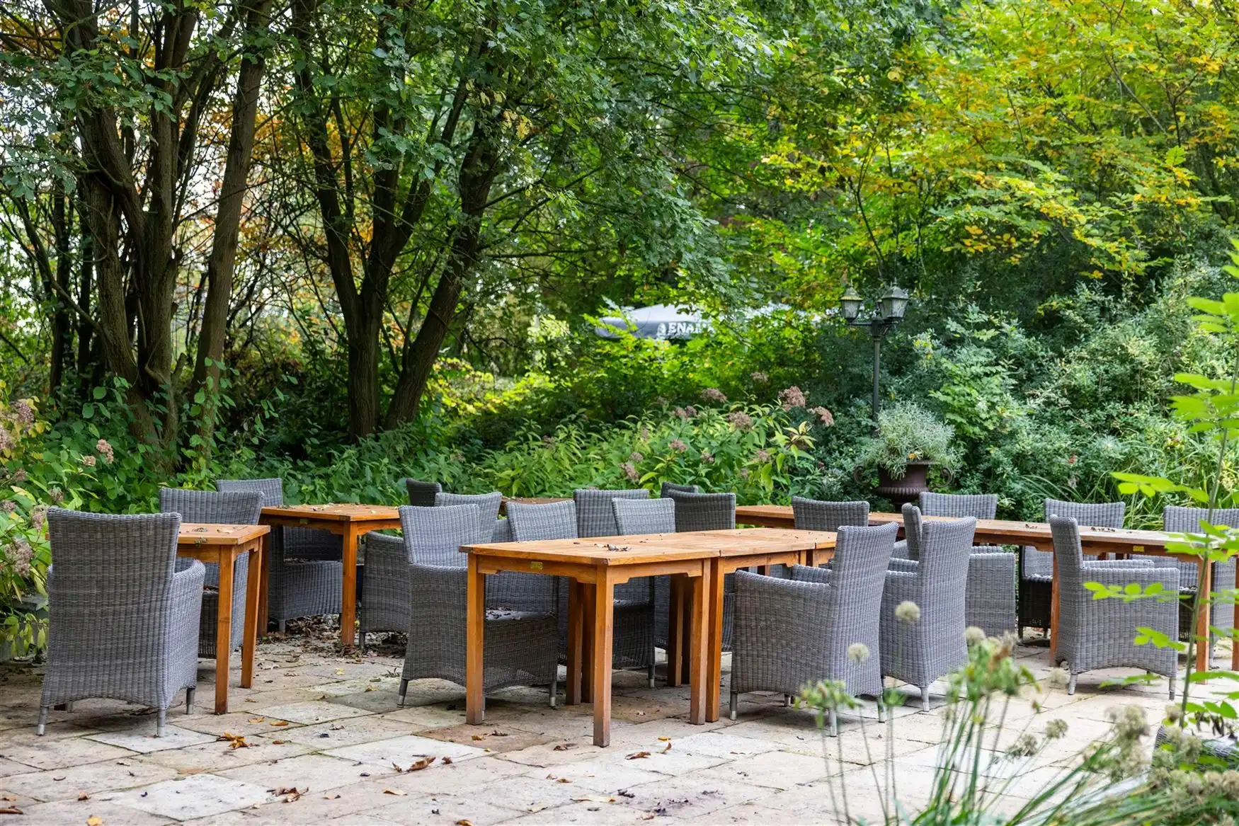 Uniek eigendom te koop: de Zwadderkotmolen. foto 23