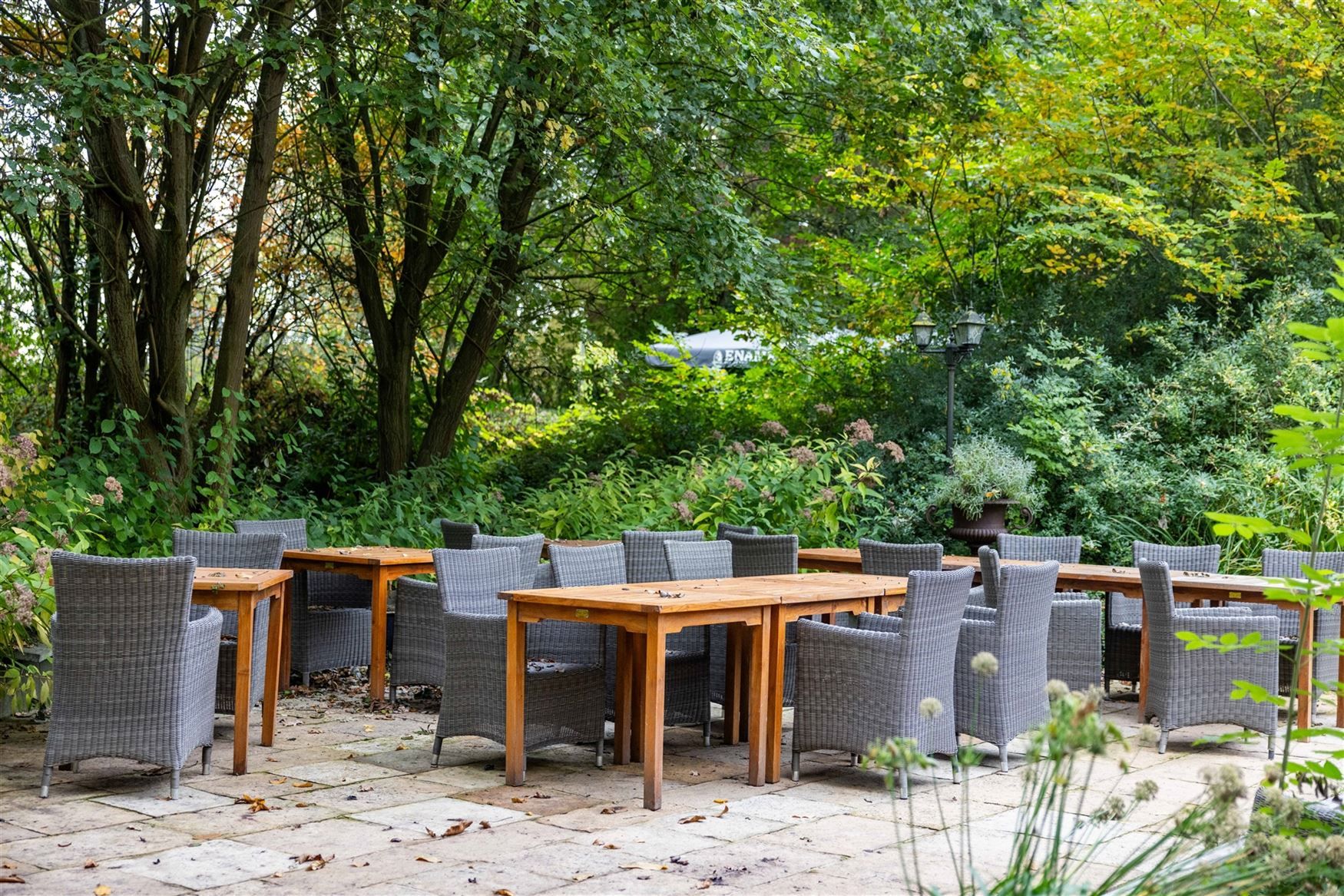 Uniek eigendom te koop: de Zwadderkotmolen. foto 23