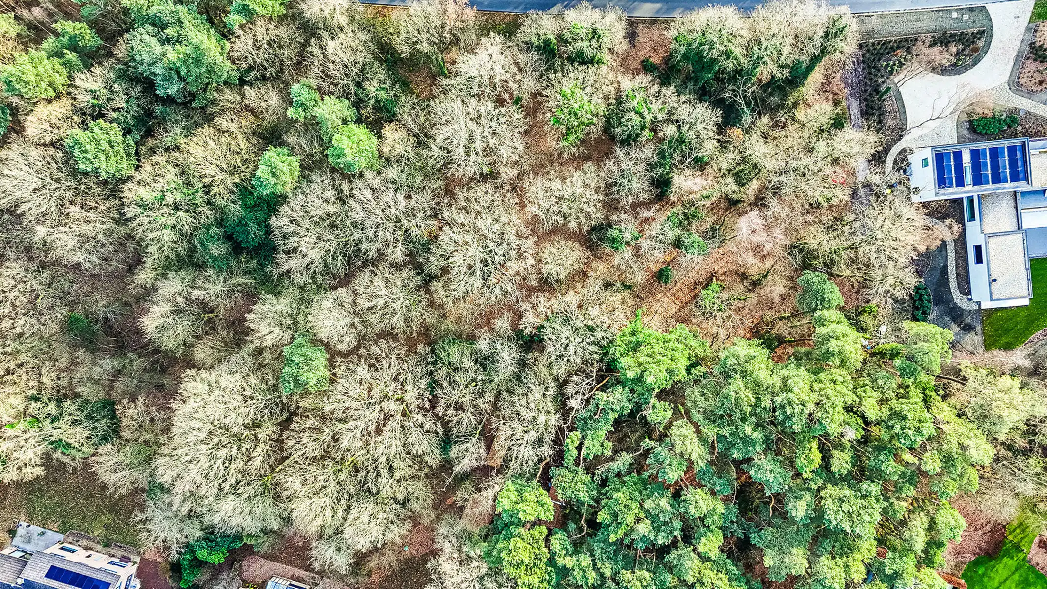 Exclusieve bouwgrond van 4.370 m² in “Golf & Meer”-domein foto 6