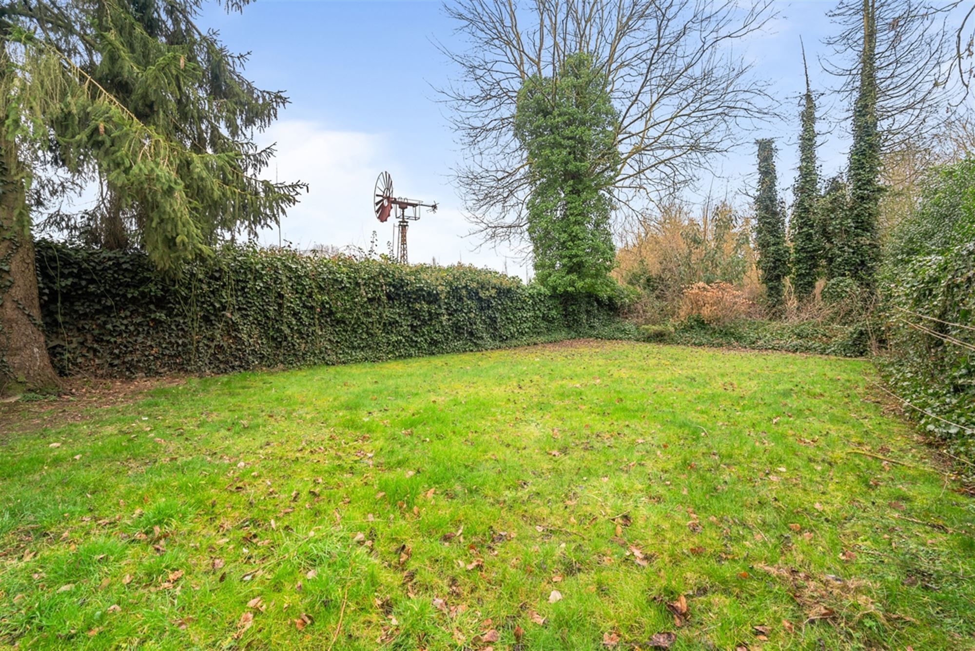 Te renoveren RUIME BURGERSWONING met BIJGEBOUW op een perceel van 668m² foto 8