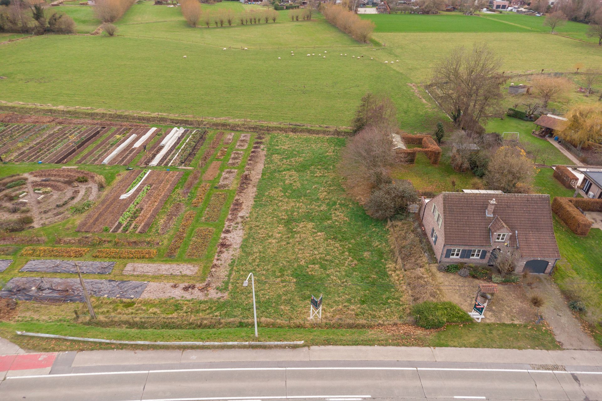 Perceel villagrond van 1983m2 & ZUID-tuin foto 5