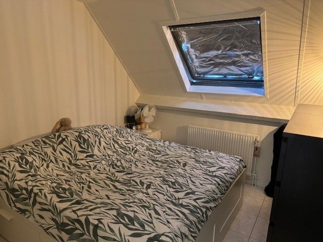 Knus 1 slaapkamer appartement te koop in het centrum van Maasmechelen, ideaal als investering! foto 6