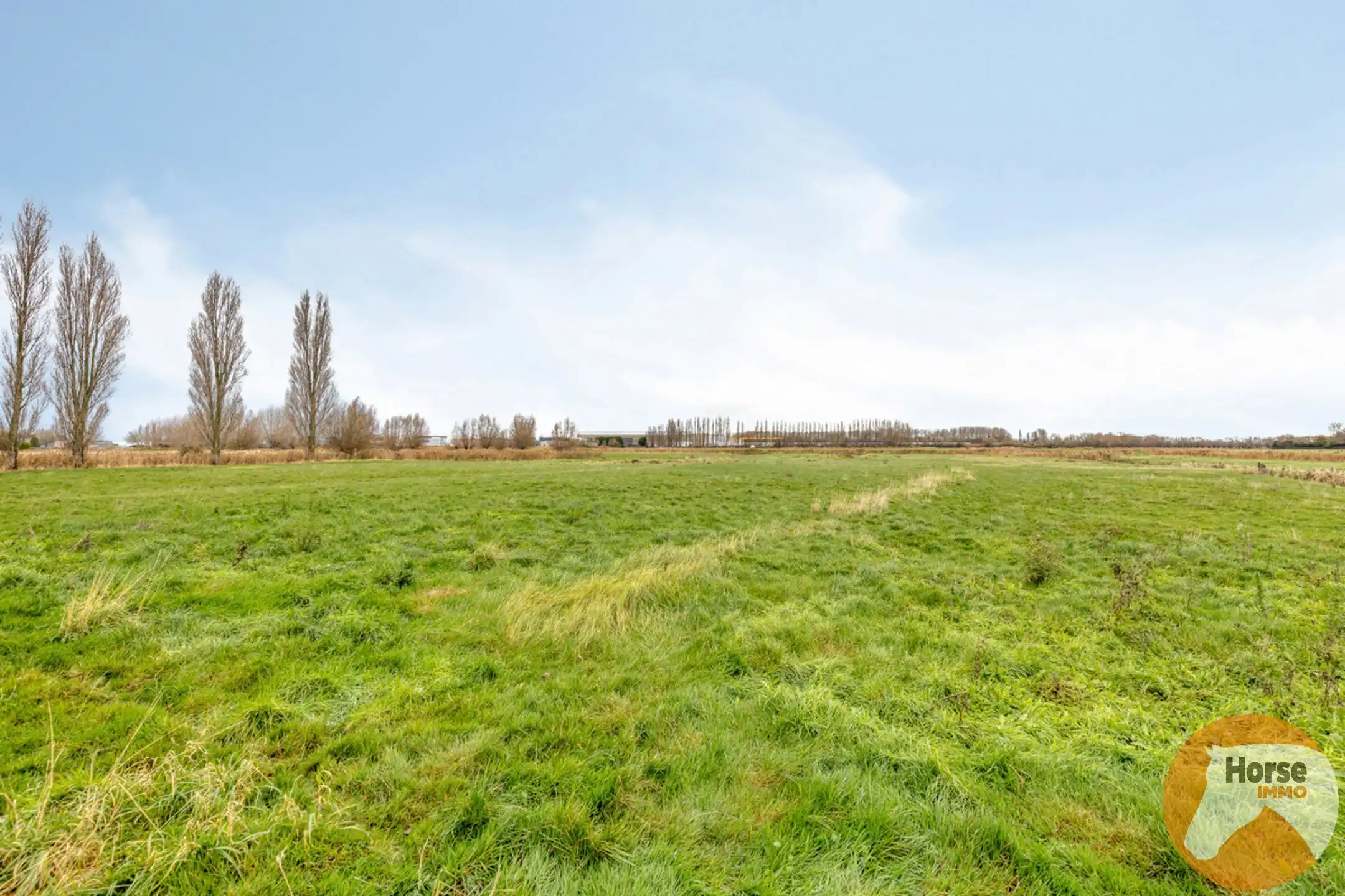 OUDENBURG - Hoevewoning op +- 3 ha foto 15