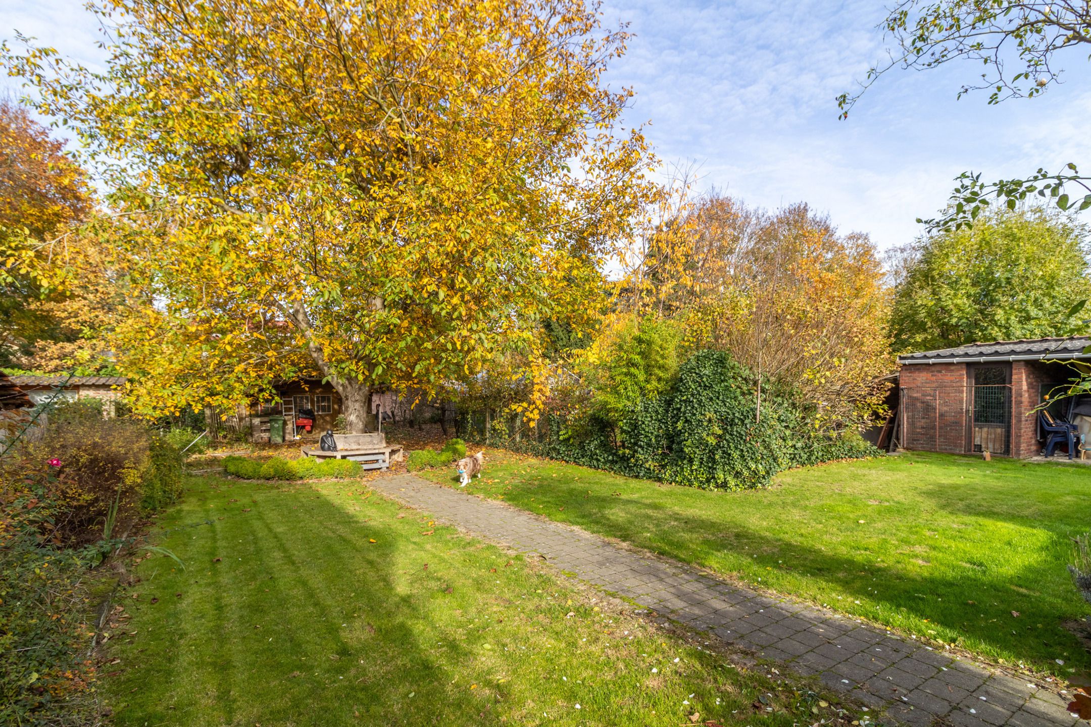 Huis te koop foto 24