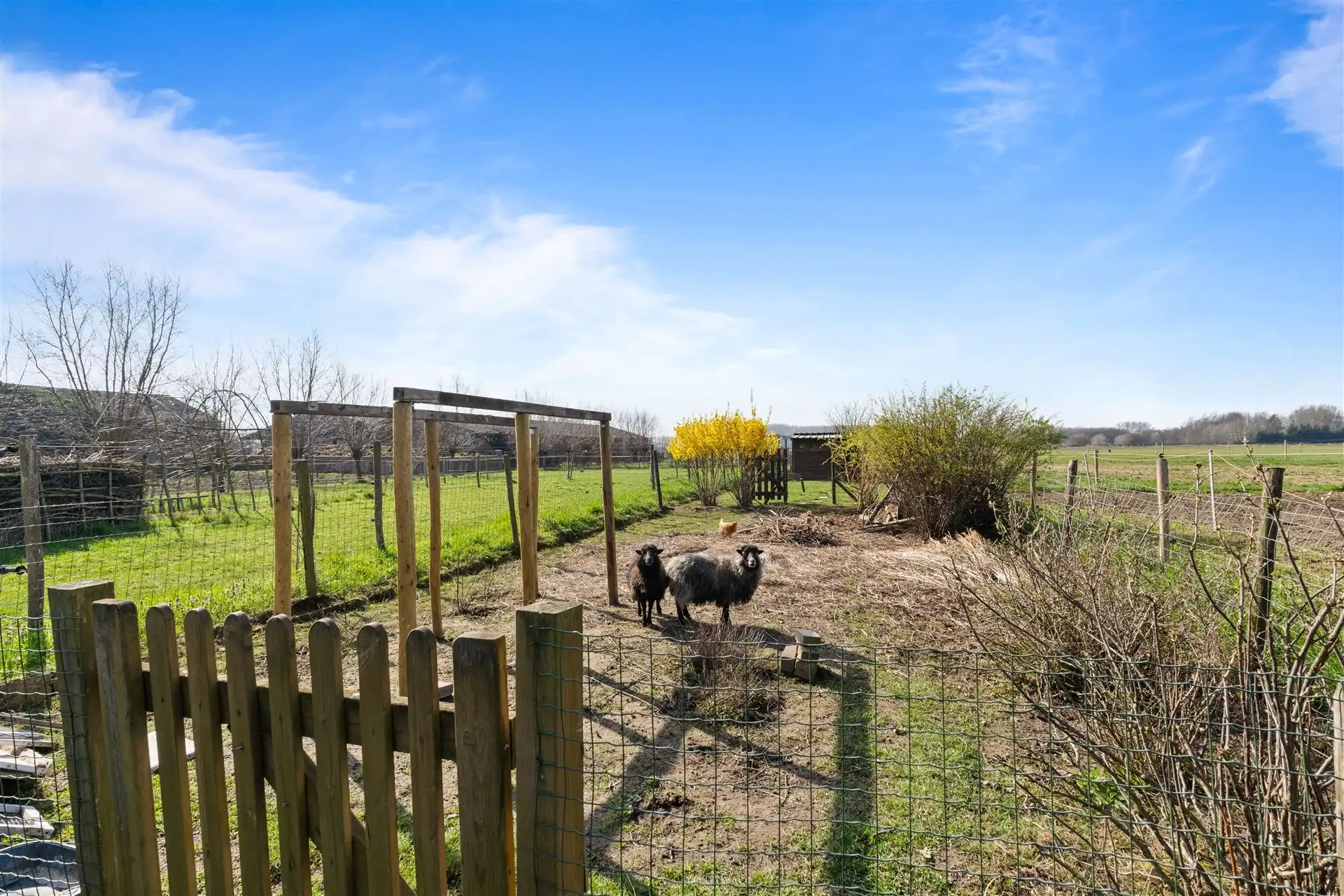 Modern halfopen bebouwing met uniek zicht in een landelijke omgeving. foto 6