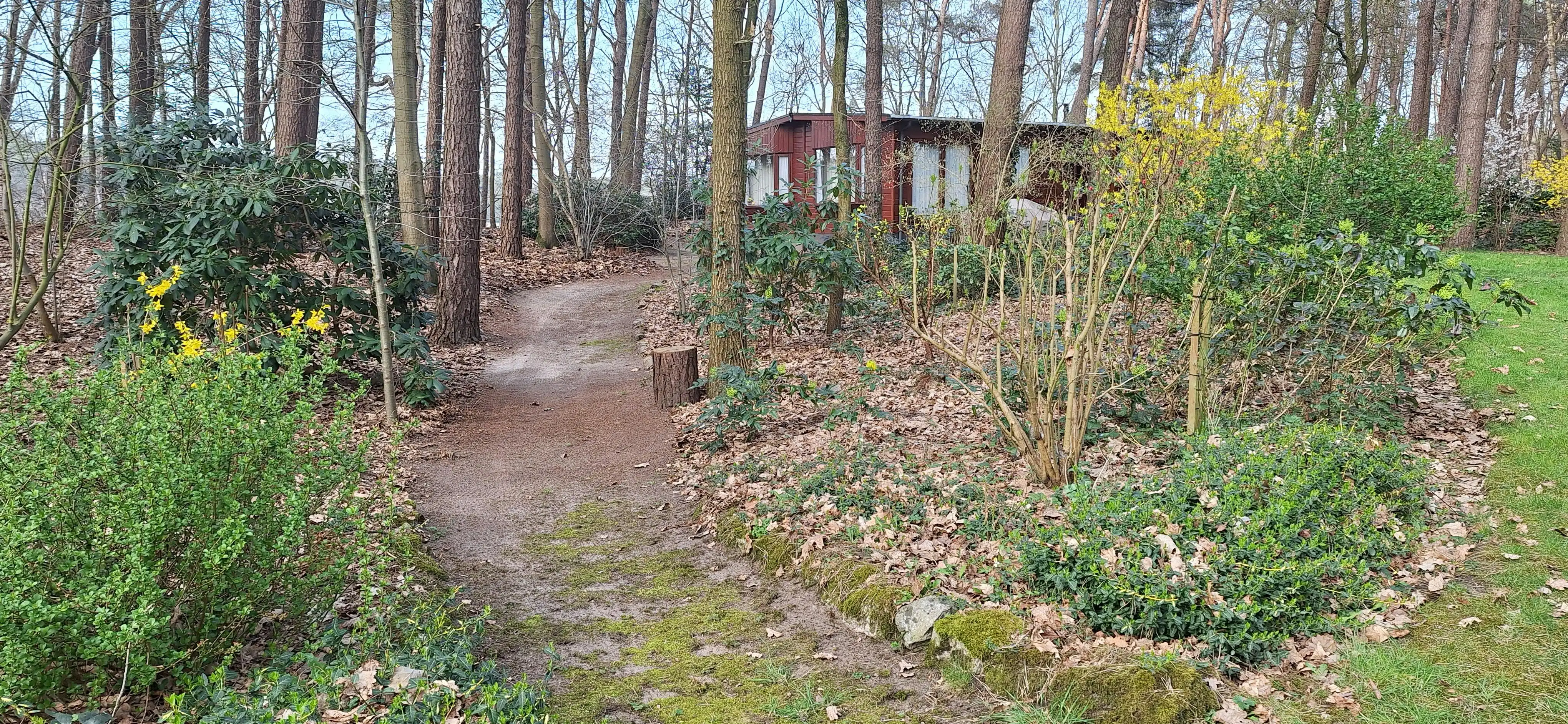 Verzorgde woning op prachtige bosgrond te koop in Wuustwezel foto 32