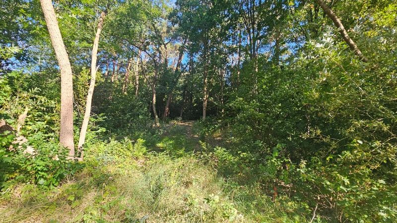 Perceel bouwgrond van 7a02ca voor open bebouwing foto 4