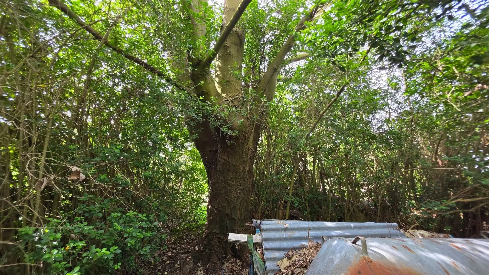 Te renoveren woonhuis met tal van mogelijkheden foto 26