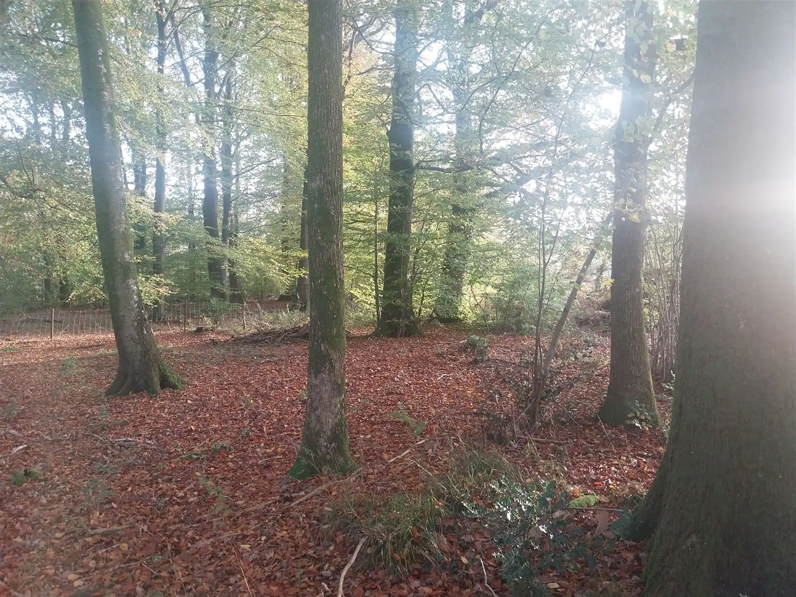 Bouwgrond foto 5