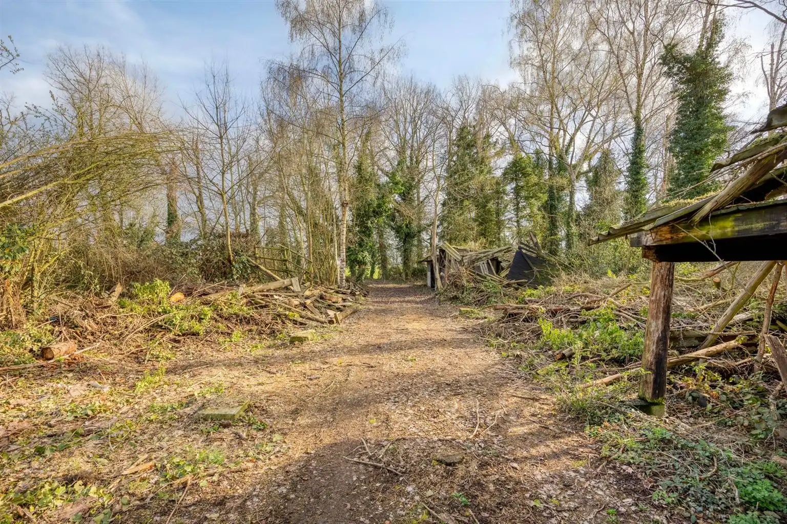 Vrijstaande woning op een uitzonderlijk perceel van 29a95ca met 4 slaapkamers en inpandige garage, gelegen op een rustige toplocatie nabij het centrum van Maaseik. foto 29