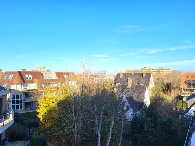 Rustig gelegen studio te Sint André - Oostduinkerke te koop foto 7