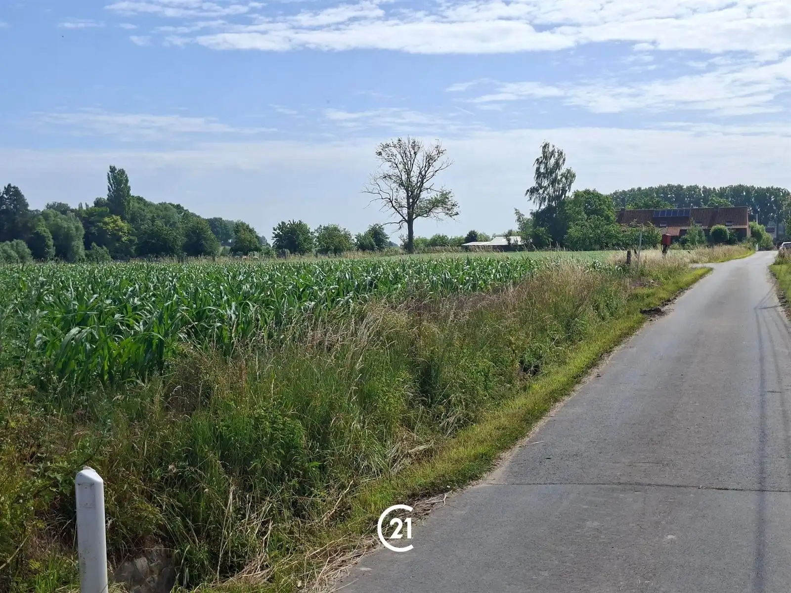 Landbouwgrond 46are, bereikbaar vanop straat foto 2