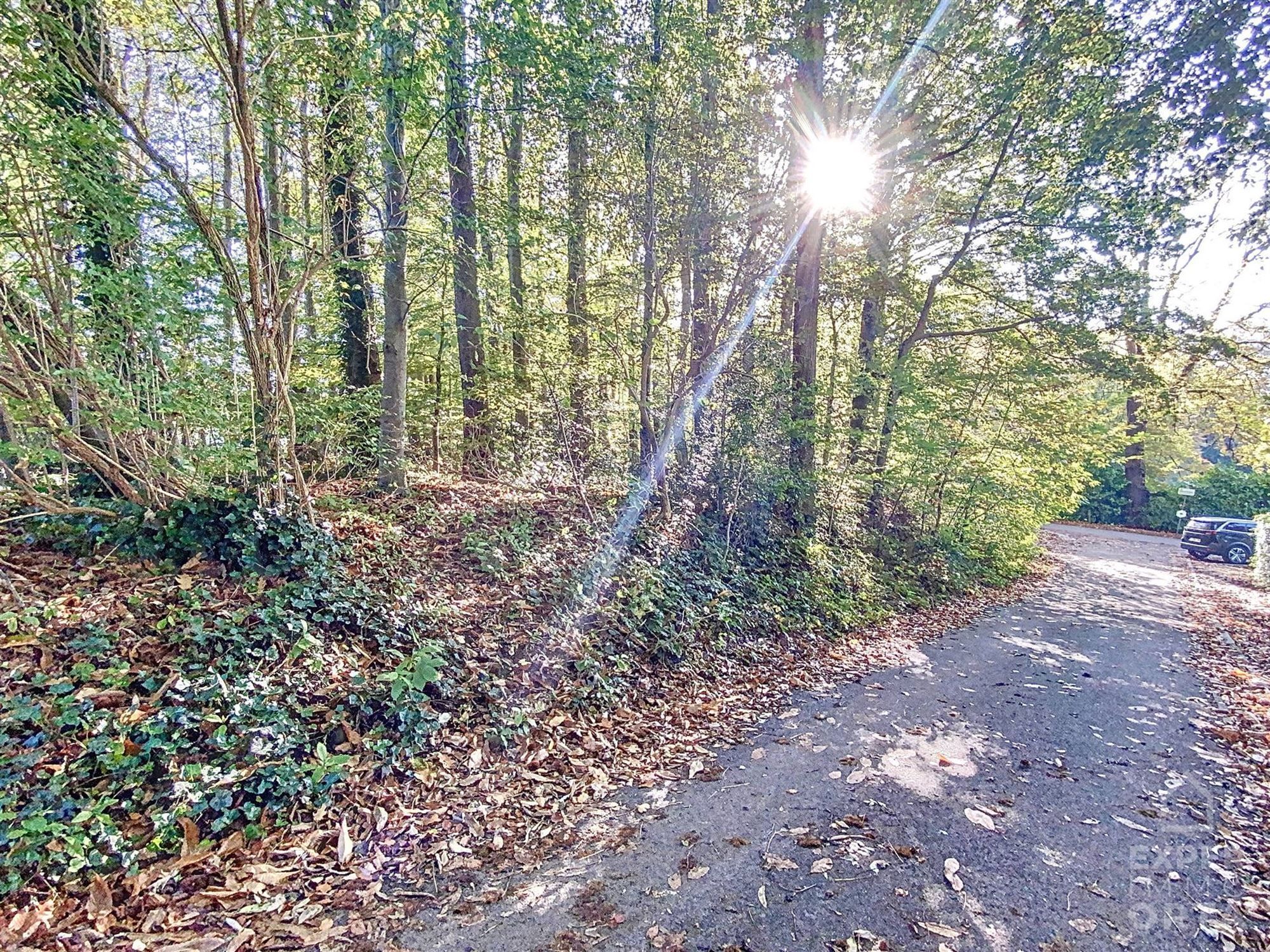 Te koop: Prachtig gelegen stuk grond gelegen in woongebied met landelijk karakter bestemd voor open bebouwing foto 2