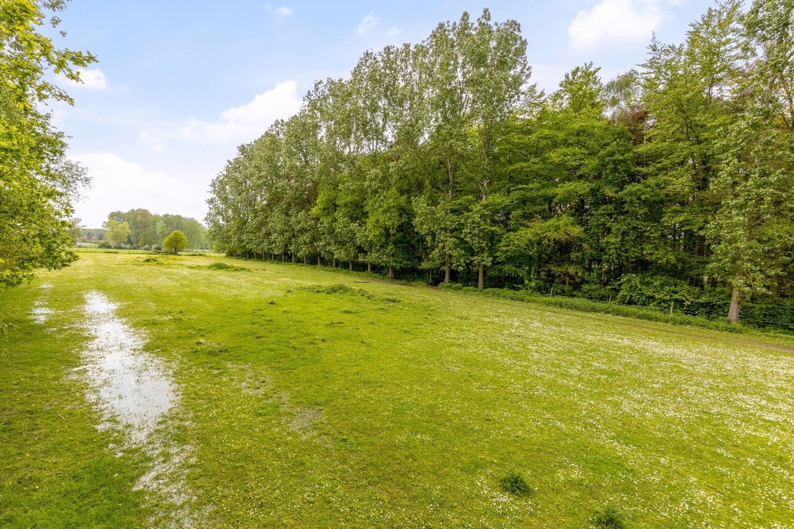 Exclusief landgoed temidden agrarisch gebied, 40a, nabij centrum foto 22