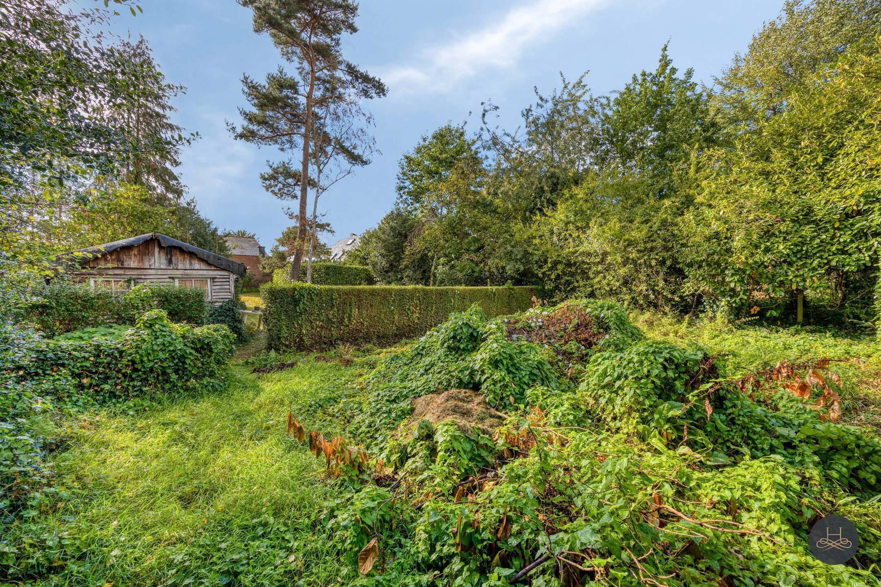 Rustig gelegen open bebouwing met ruime tuin in Elewijt foto 10