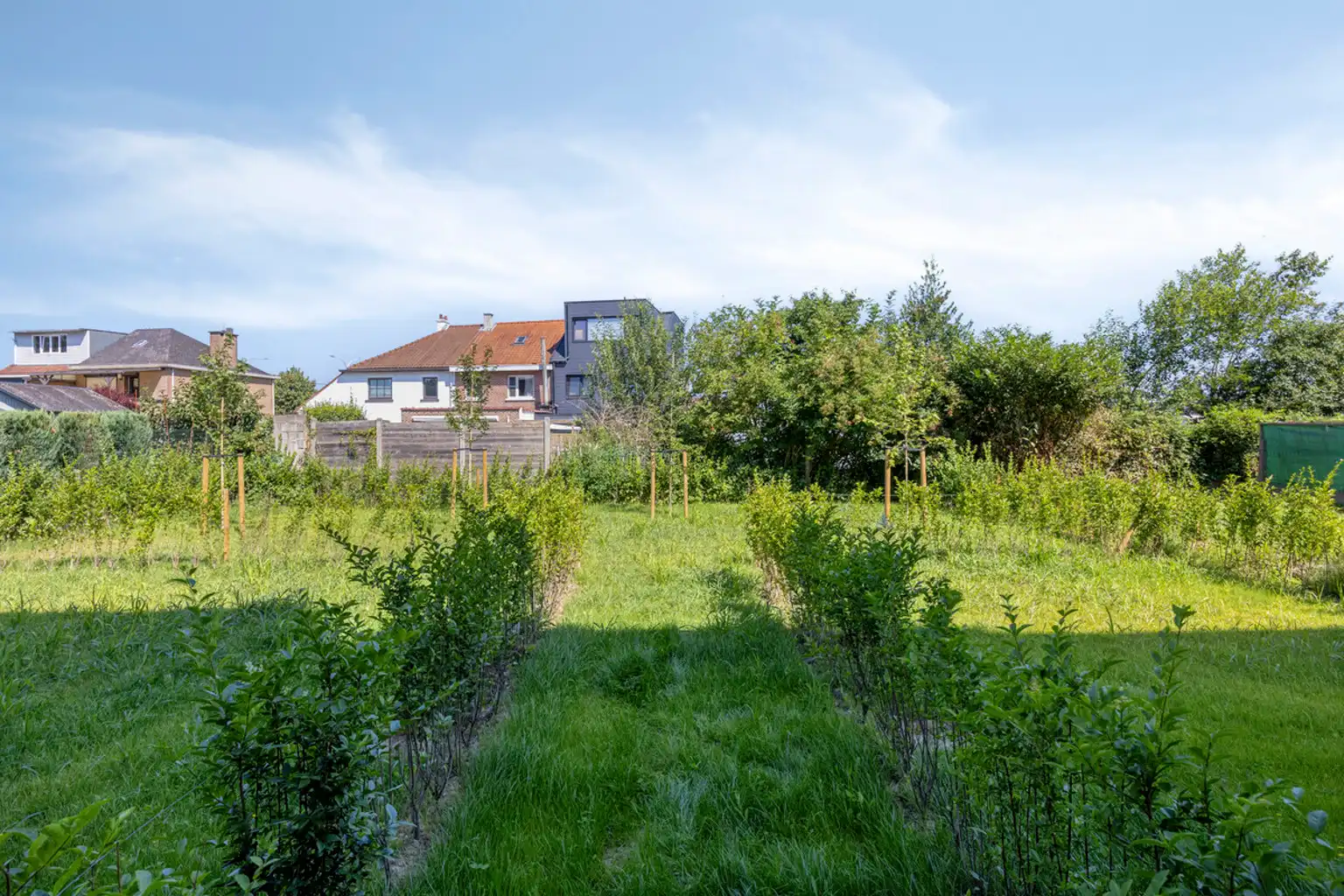 Energiezuinig nieuwbouw duplex appartement 2 kamers, terras foto 21