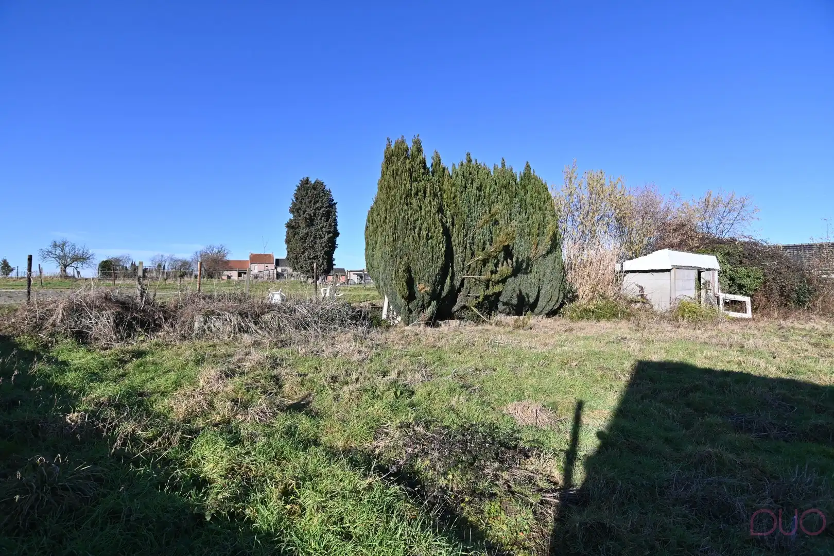 Totaal te renoveren woning op ruim perceel grond met mooi uitzicht foto 5