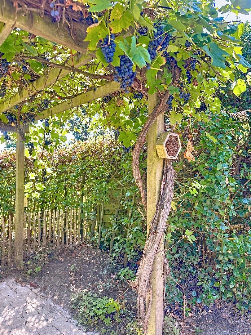 IN OPTIE! Instapklare woning in het groene Keerbergen foto 24