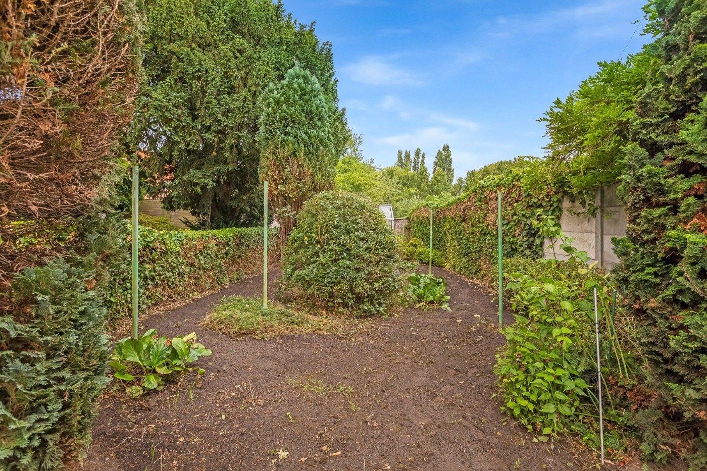 Charmant, te renoveren pand met authentieke elementen en zuid-tuin in centrum Zandvliet foto 31