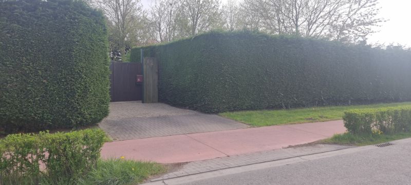 Alleenstaande bungalow foto 19