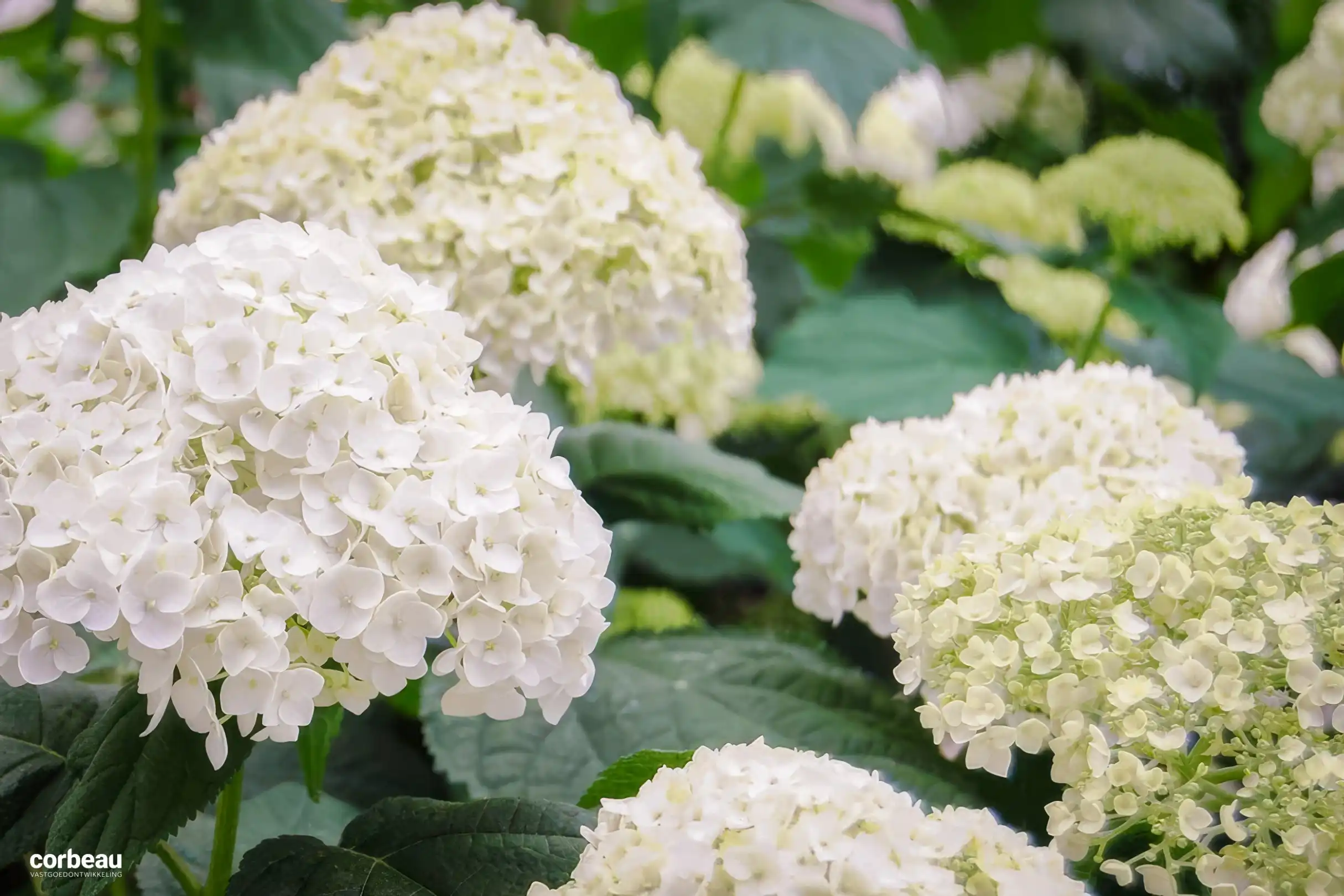 Stijlvol en luxueus wonen in hartje Koksijde! foto 19