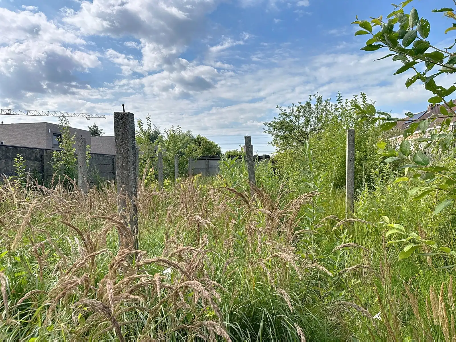 Renovatiewoning met (bouw)grond in hart van Schelle foto 4