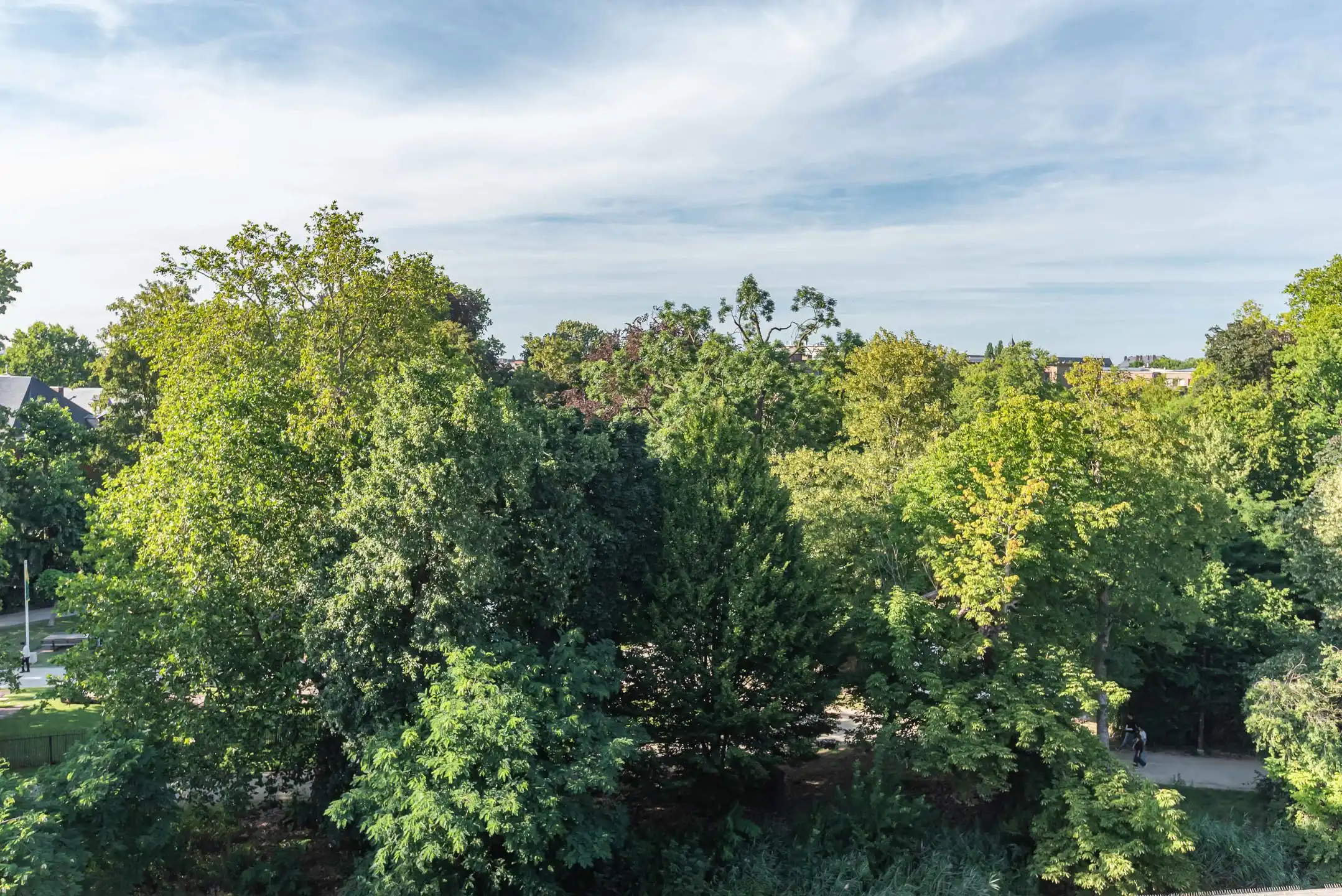 Ruim 3-slk-appartement op toplocatie met zicht op Botanique foto 6