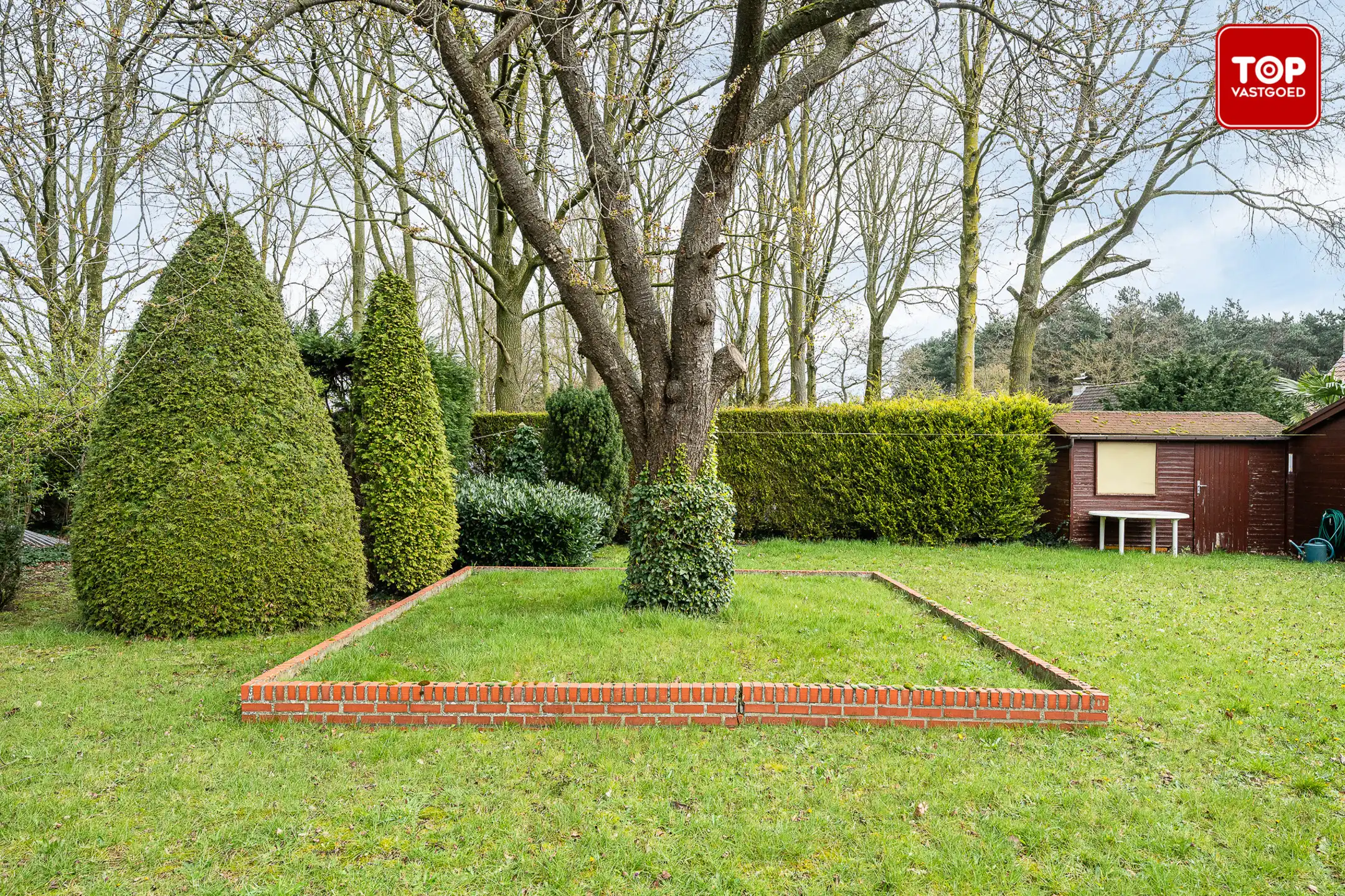 Huis te koop foto 21