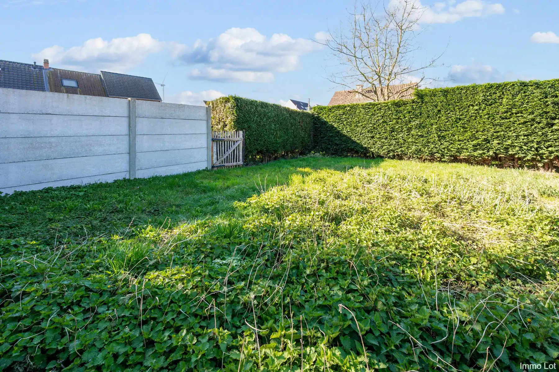 Volledig vernieuwde starterswoning  foto 13