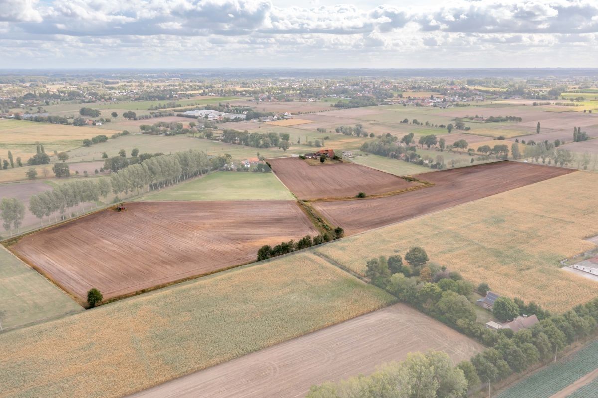 Hoeve op circa 10 ha te koop te Maldegem foto 5