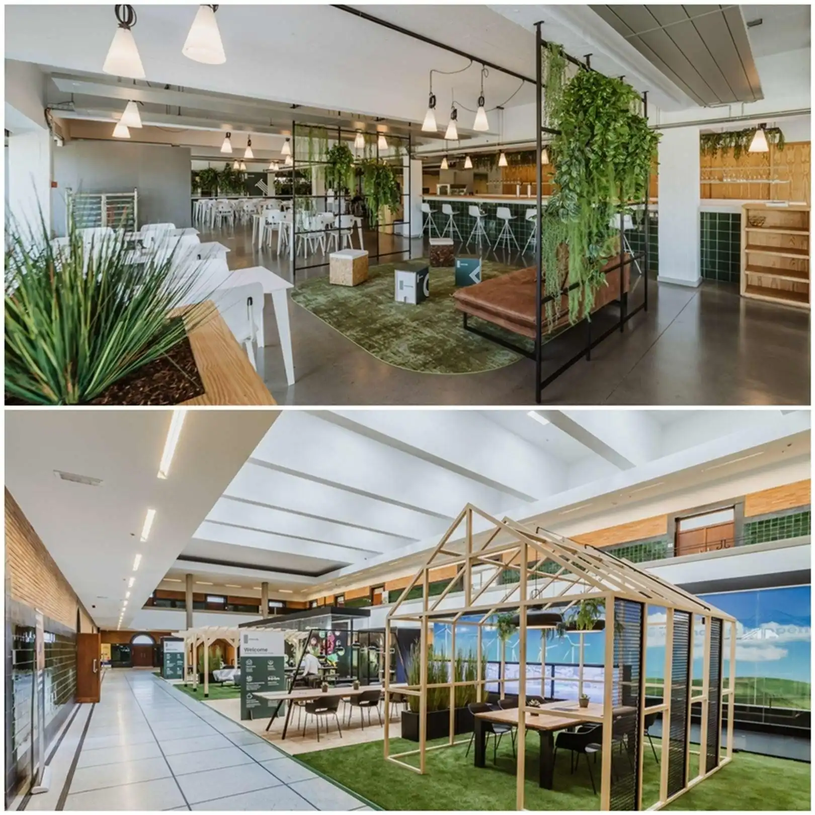 2500 m² kantoorruimtes vanaf 34 m²  te huur in Greenville te Houthalen Helchteren foto 16