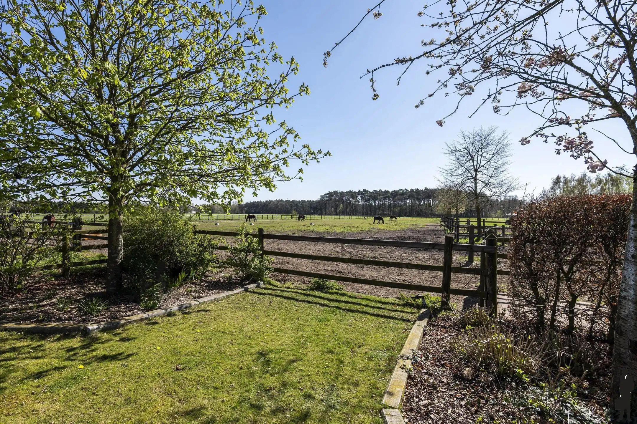 Uitzonderlijk gelegen paardeneigendom op ca. 2 hectare foto 2