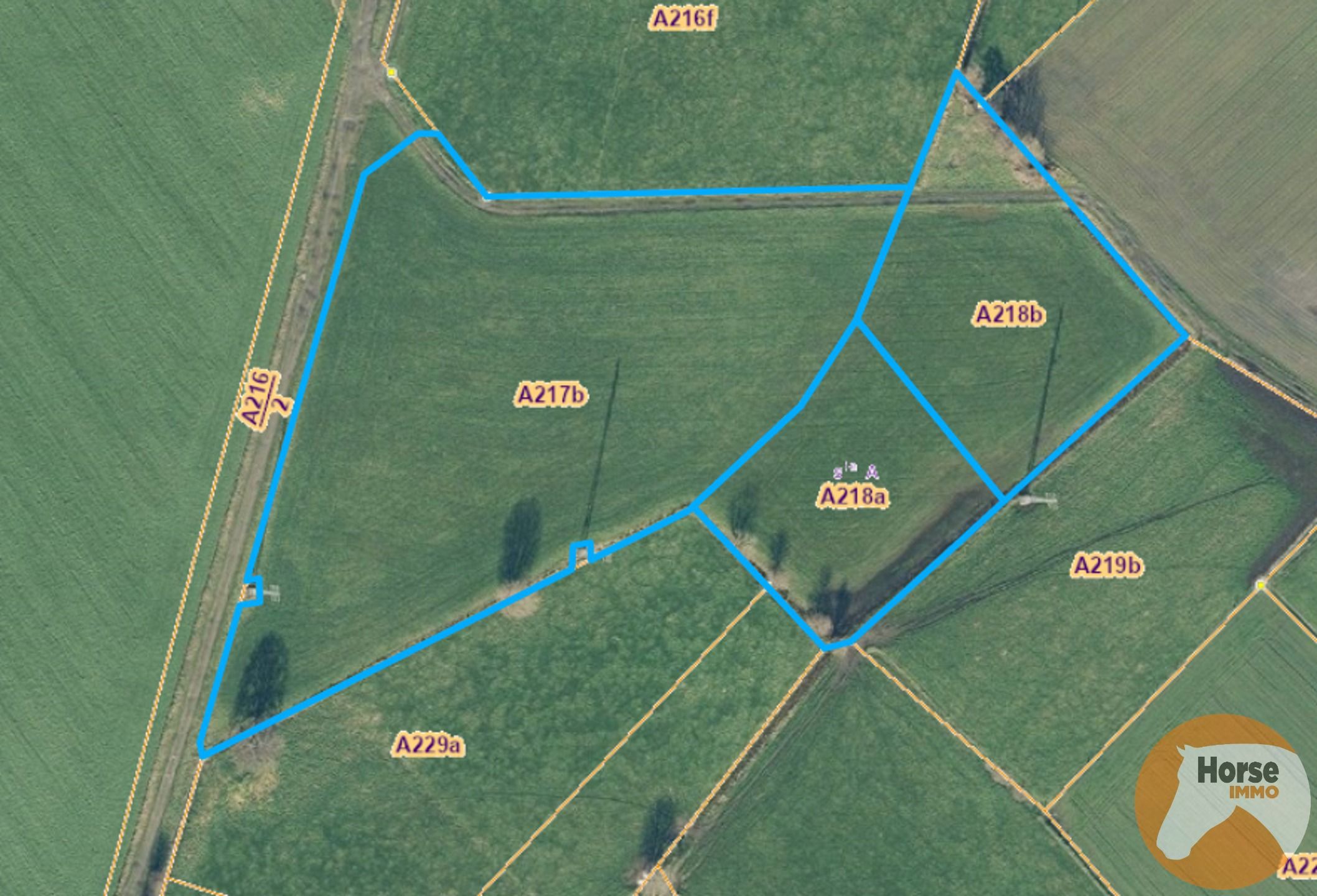 KAPELLE OP DEN BOS - Landbouwgrond/weide op +-2ha foto 4