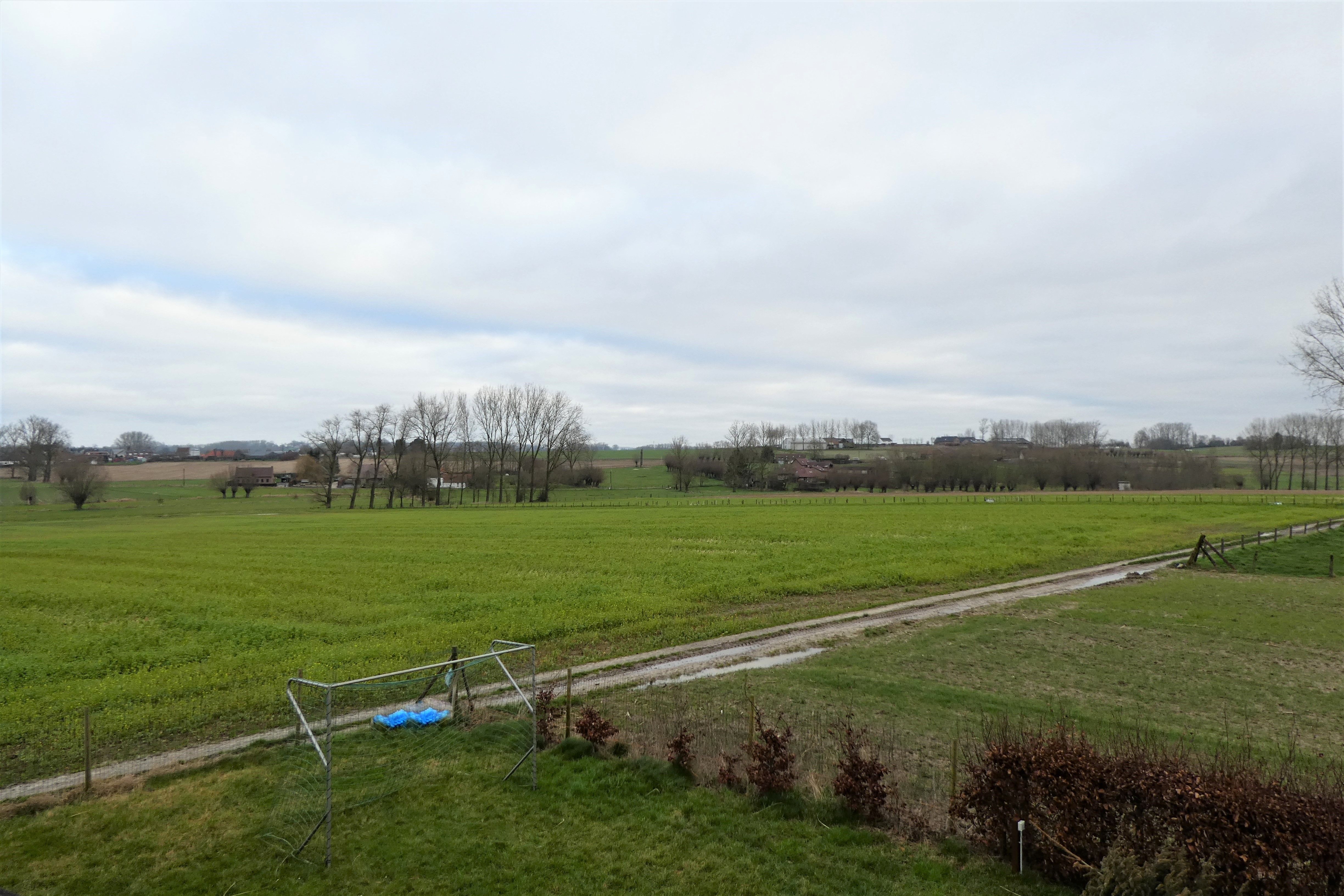 Vrijstaande woning op 705m² met mooie tuin, terras en landelijk uitzicht.  foto 8