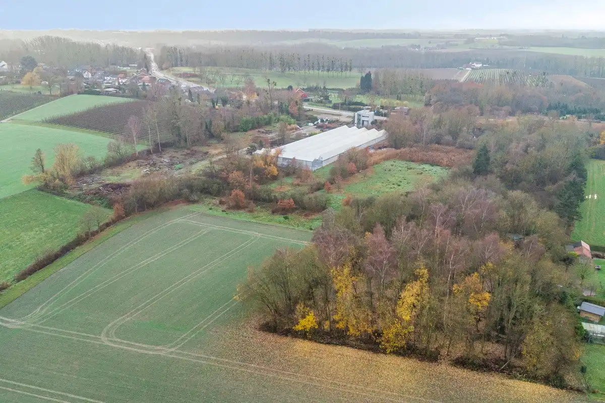 Tuinbouwcentrum met ruime woning op een perceel van 4,26 hectare foto 3
