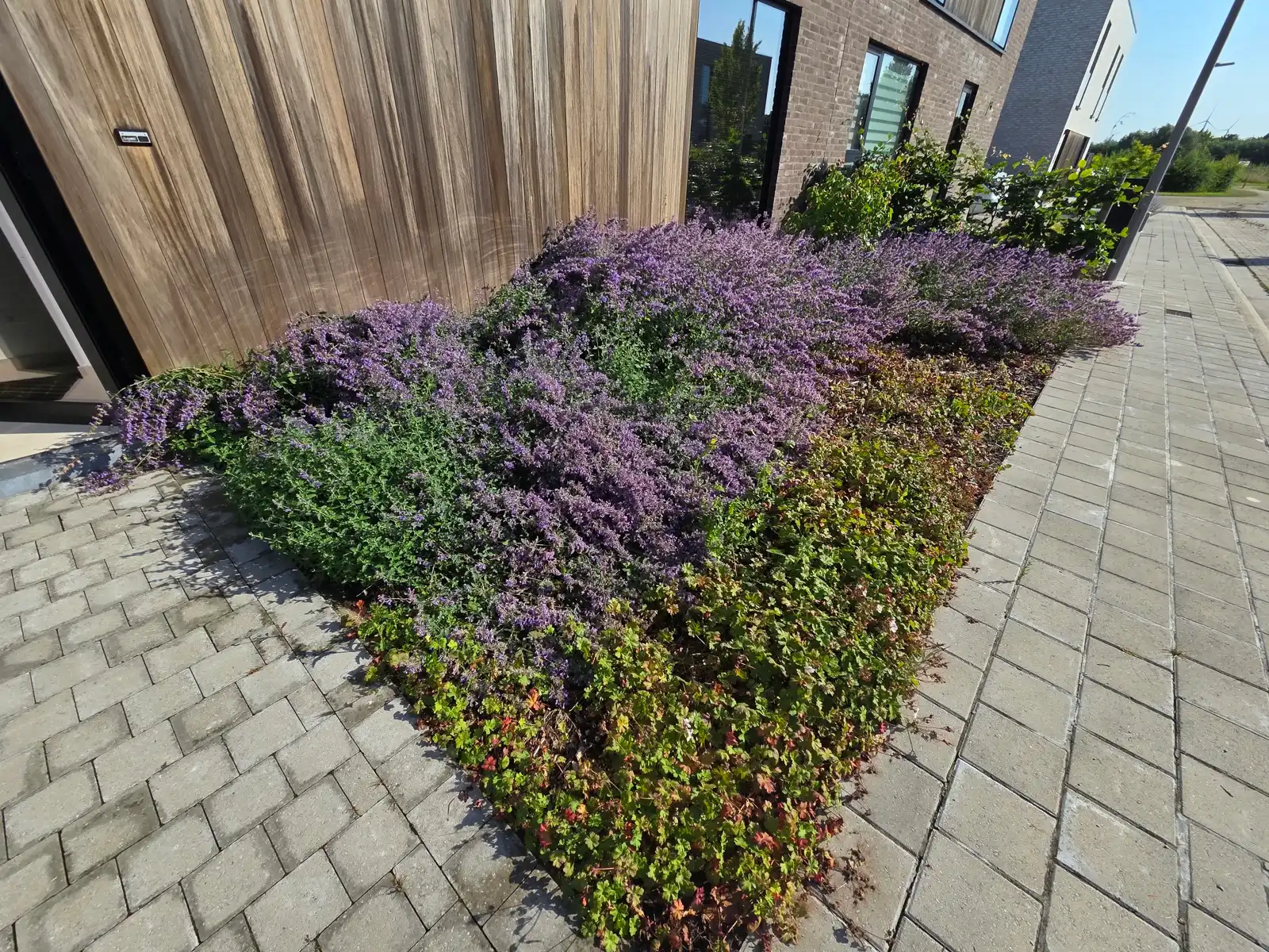 Instapklare recente woning met mooie tuin!!! foto 29