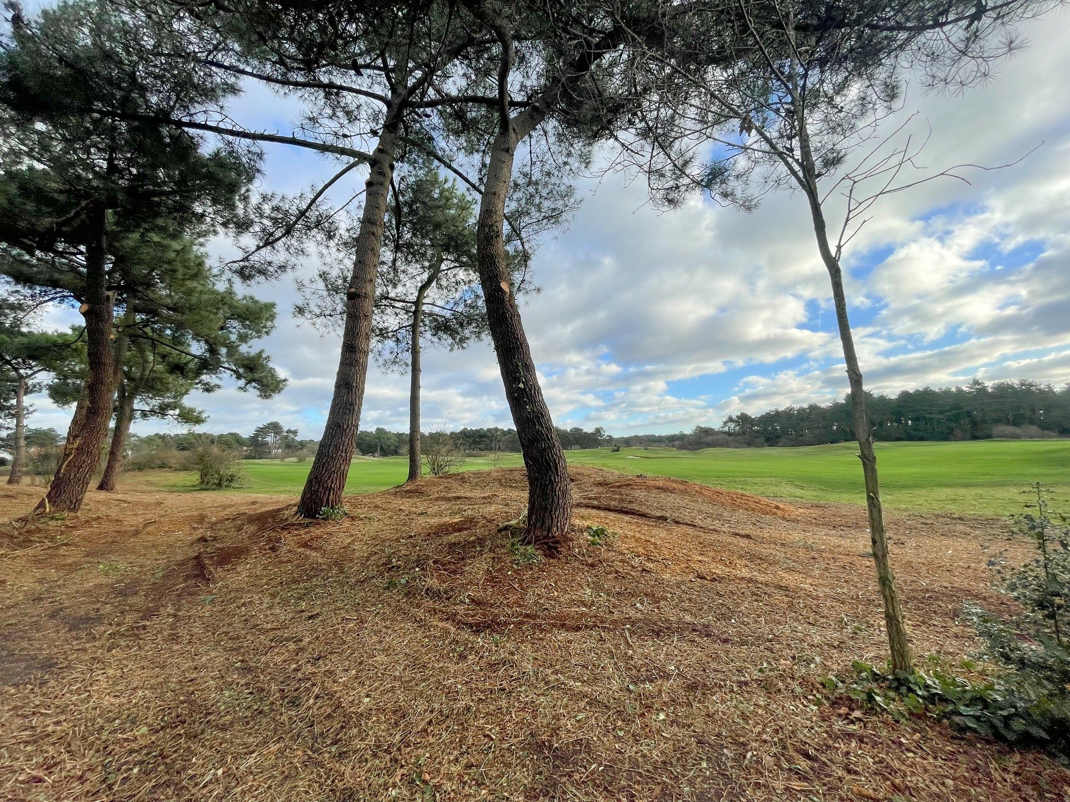 Te renoveren koppelvilla, met uitzicht op de Royal Zoute Golf Club. foto 3