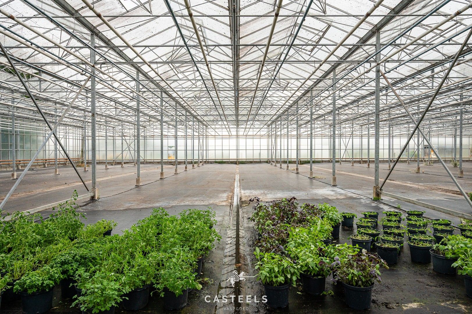 Uitzonderlijke tuinbouwsite in hartje Lochristi - 2,5 hectare met tal van mogelijkheden foto 4