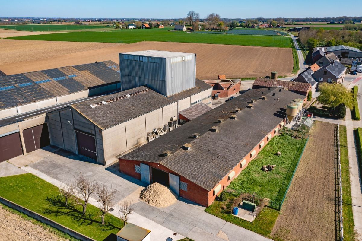 Hoeve met veevoederfabriek te koop te Poperinge (Watou) foto 8