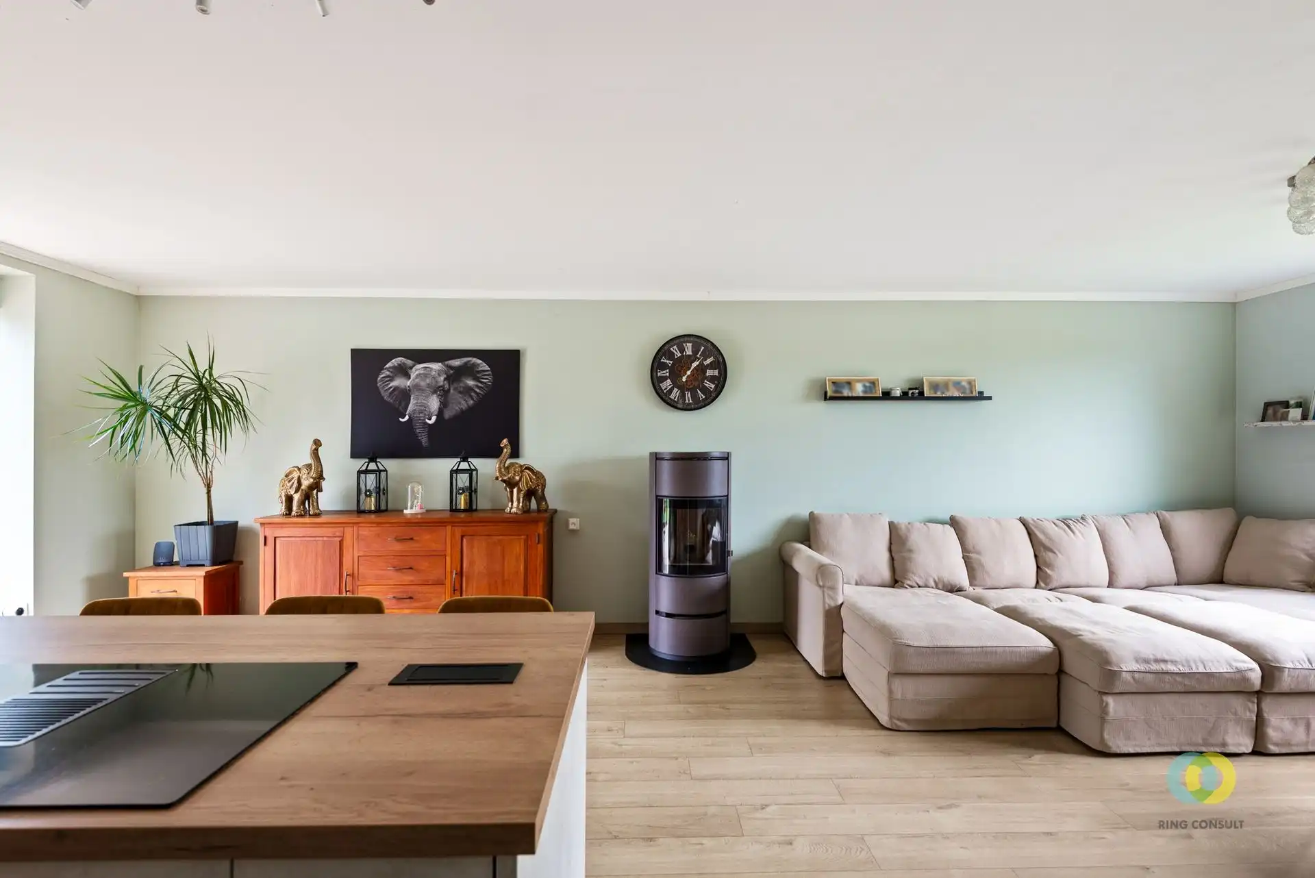 Rustig gelegen bungalow **OPEN HUIZEN DAG 21/03** foto 3